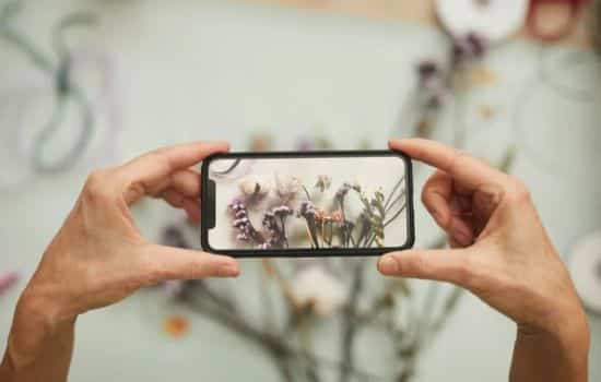 Cómo Identificar Plantas Con Tu Celular