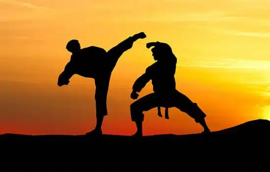 Aprende Artes Marciales Desde Tu Móvil